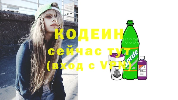 дживик Заводоуковск